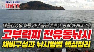 고부력찌 전유동낚시 채비구성과 낚시방법 핵심정리-대물감성돔 확률 가장 높은 본류대 공략 하이테크닉 [디낚TV 낚시공부방]