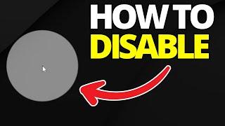How To Disable White Circle When Pressing CTRL 2 Times