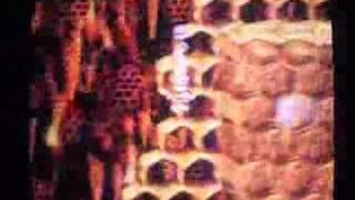 Donkey Kong Country 2: Diddy's Kong Quest: Rambi Rumble
