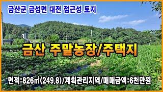 금산토지 주말농장/전원주택지 대전 접근성 좋은 한적한 위치 작은 토지 금산부동산 금산땅 만호공인중개사