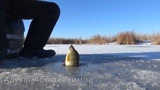 ▶ Первый лёд 2018. Зимняя рыбалка в новом сезоне