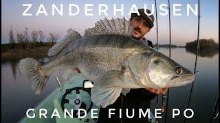 Zanderhausen - Teil 1: Grande Fiume Po mit 9kg+ Personal Beast!