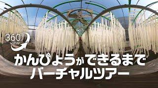 【VR360°】かんぴょうができるまでバーチャルツアー