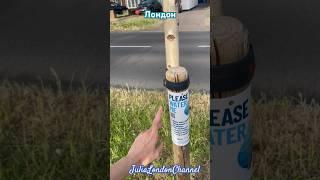 НЕОБЫЧНЫЕ НАДПИСИ НА ДЕРЕВЬЯХ ПО ЛОНДОНУ! Реальная жизнь в Англии июнь 2024. #природа #лондон #шортс