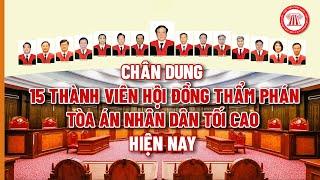 Chân dung 15 thành viên Hội đồng Thẩm phán Tòa án nhân dân tối cao hiện nay | THƯ VIỆN PHÁP LUẬT