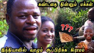 எறும்புகளை தின்னும் (ஆப்ரிக்கா) காட்டுவாசிகள் இந்தியாவில் Ant-eating Africa in India #karnataka