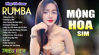 MỘNG HOA SIM , HOA BẰNG LĂNG - LK Nhạc Trẻ Rumba 8x 9x Hót TikTok - ALBUM RUMBA XUẤT SẮC NHẤT