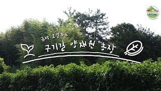 익산시 금마농협 - 양재원 출하농가(엽채류)