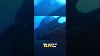 Deep-Sea Creatures: Secrets of Twilight Zone Survival