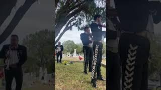 Mariachi Real Del valle de Mcallen Texas 956-295-7957 te vas ángel mio