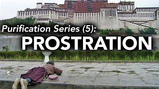 Purification Series (5): Prostration (with subtitles)