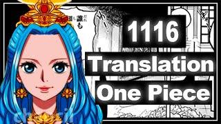 This is why Joy Boy left behind the ancient weapons! | Japanese Translator explains One Piece (1116)