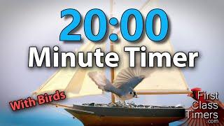 20 Minute Countdown Timer w/ Birds Sounds ⏰ Chime Alert | No Music | Study Aid Relaxation