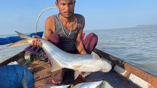 A Biggest Fishes Catching in Madhya Pradesh  ।। amazing fishing । Fishing।@FisherBoyDev7417