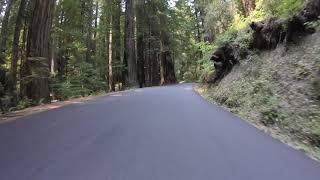 Humboldt Redwoods State Park (Mattole Road)