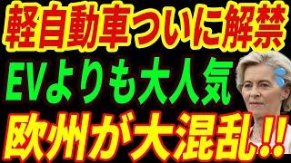 【海外の反応】欧州でEVが終焉⁉軽自動車解禁でEVの価値がなくなる衝撃の理由とは・・・