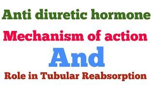 Anti diuretic hormone(ADH) Mechanism of action | Role in water Reabsorption | Diabetes insipidus