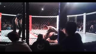 Charlie Ward MURDERING Joao Carvalho footage #HumanCockfighting #Death