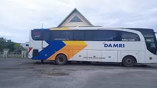 bus DAMRI model HD di tanjung Selor Kalimantan Utara