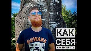 Как убрать негативные программы ума? Как запрограммировать себя на счастье и успех! Фрагмент видео.