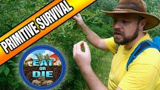 Most Poisonous and Deadly Plants: Primitive Wilderness Survival Food Skills (Eat or Die, Ep.3)