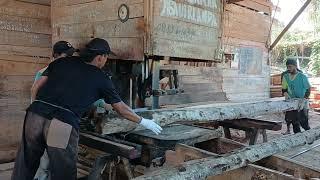 Incredible Sawmill Action Watch Crooked Wood Get Sliced Perfectly!