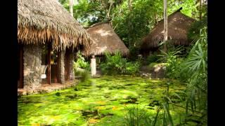 Laucala Island Resort