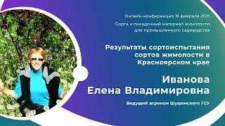 Жимолость в Красноярском крае. Результаты сортоиспытания. Иванова Е.В. Шушенский ГСУ
