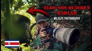 Ellos quieren decirnos algo | Costa Rica | Wildlife Photography