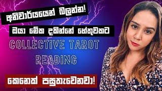 ගොඩක් අයට වාසි වෙන්නයි යන්නේ ️ Collective Tarot Reading Sinhala