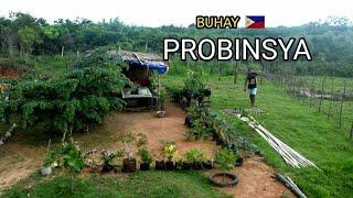 Simple but nutritious boodle fight in province.  Life in the Mountain. Biag ti Away by balong