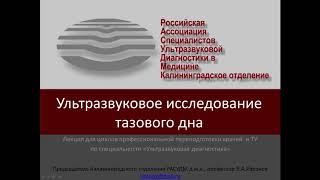 УЗИ тазового дна. Опущение и выпадение тазовых органов.