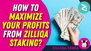 How to maximize your profits from Zilliqa staking? How often should you claim staking rewards?