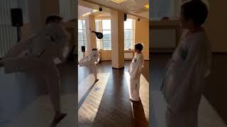 Roundhouse-Kicking a Thrown Pad