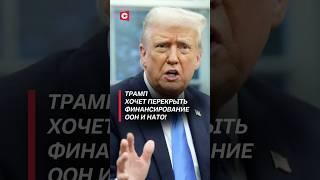 Трамп хочет перекрыть финансирование ООН и НАТО! #трамп #оон #нато #новости #политика #сша #госдеп