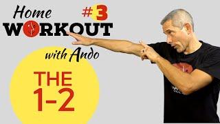 Martial Arts for Beginners - How to Palm Heel - Home Workout #3