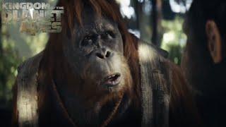 Raka teaches Noa about Caesar (Kingdom of the Planet of the Apes) HD Quality