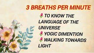 3 breaths per minute to know the language of the universe | Yogic dimention | Walking towards Light