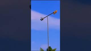 #shorts #fruit #cultivation #wind #fans #viralvideo