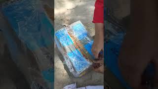 Unboxing Red Ear slider Turtle  #shorts #viral #viralshorts #cute #baby #turtle #unboxing