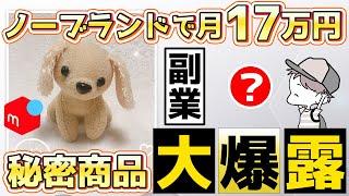 店舗仕入れとネット仕入れの考え方が分かる！副業で月17万円を達成したその具体的な方法とは？【副業・せどり・メルカリ】