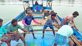 4 Days of Fishing Adventure Full Video  | நான்கு நாட்கள் மீன் பிடித்த முழுமையான காட்சி