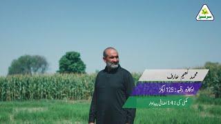 Muhammad Naeem | Okara | Maize Crop | Sarsabz Fertilizer