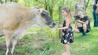 Lancaster Farm Sanctuary - Who We Are