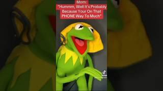 “Probably Because Your On That Phone Way Too Much” TIKTOK Meme With Kermit The Frog