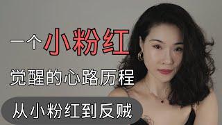 一个小粉红的觉醒之路｜从小粉红到反贼的心路历程