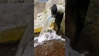 Родник в Гура Каменке, слушайте исцеляющие звуки журчания Источника воды и будете здоровы