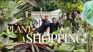 Discover Some COOL & Affordable Plants in Jakarta Plant Market | FLONA 2024