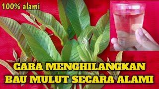 CARA HILANGKAN BAU MULUT