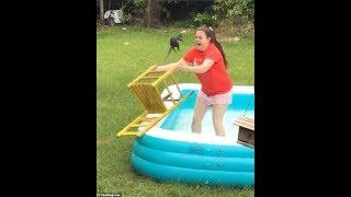 Hilarious moment girl attempts to rescue squirrel from kid's paddling pool